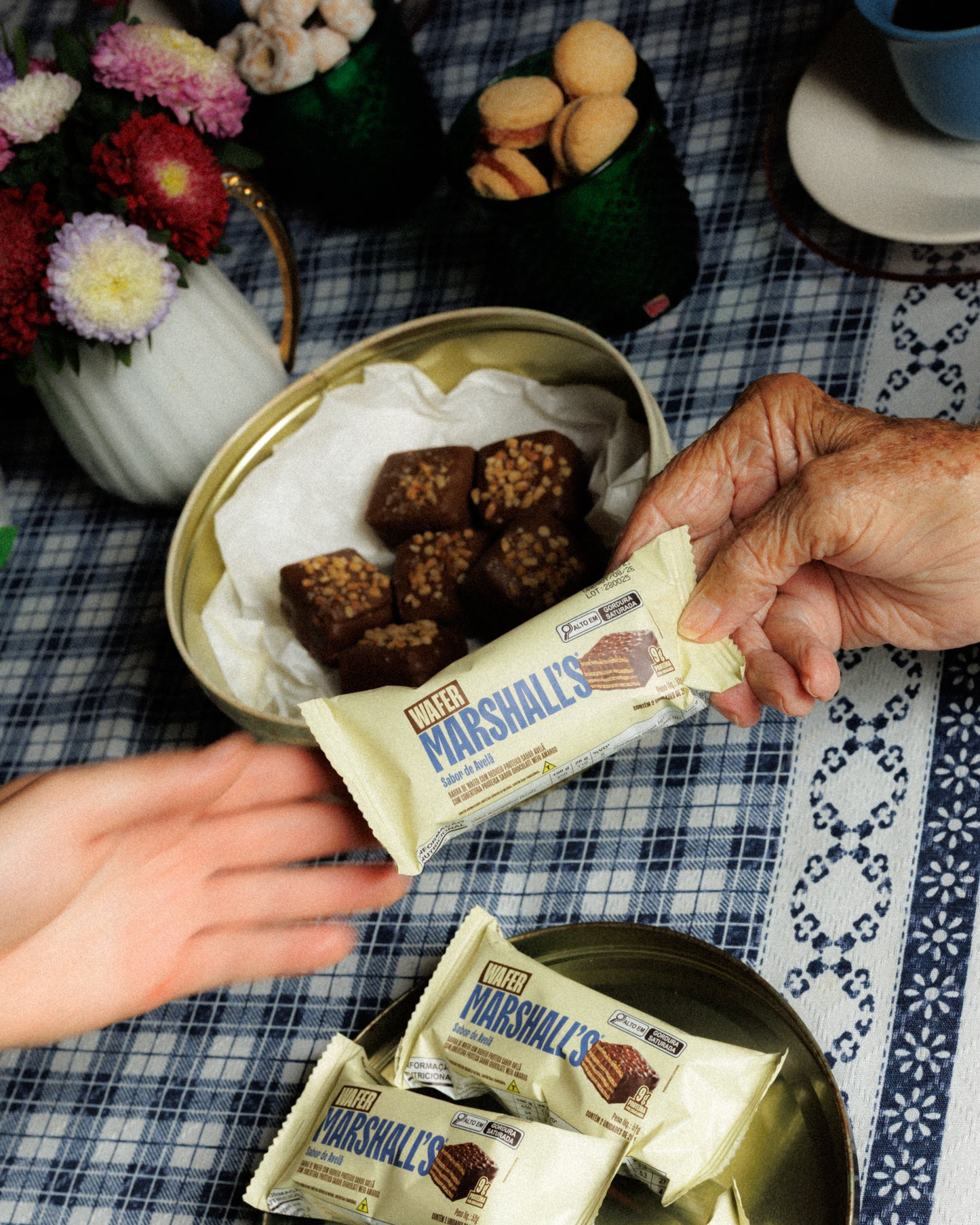 Wafer Proteico Marshall's Avelã (12 unidades)